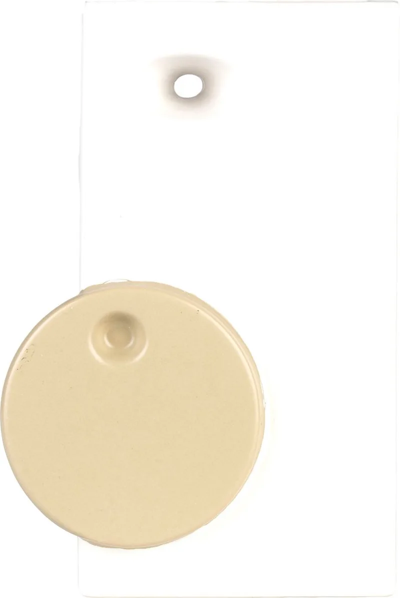 Bloomer Vaas by Zuiver in Beige – product photo