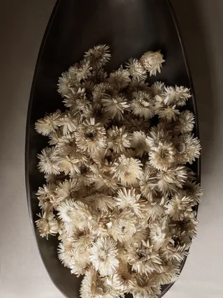 Pavot Centerpiece von Audo Copenhagen – Ambientefoto 3 von 6