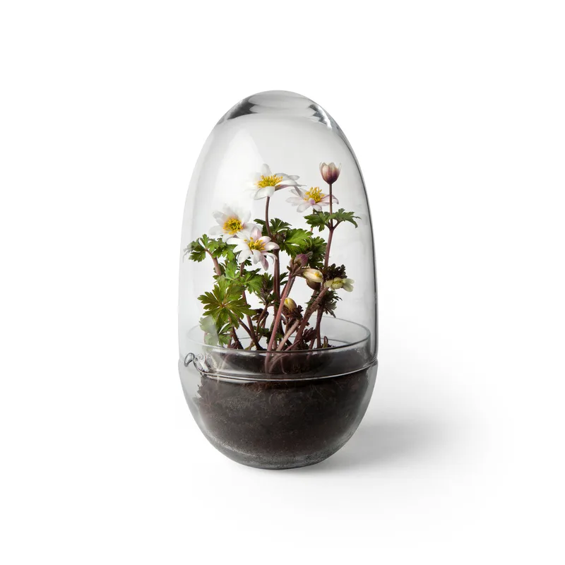 Grow de Design House Stockholm en Medium 24 cm – photo du produit