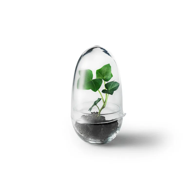 Grow de Design House Stockholm en Small 14 cm – photo du produit