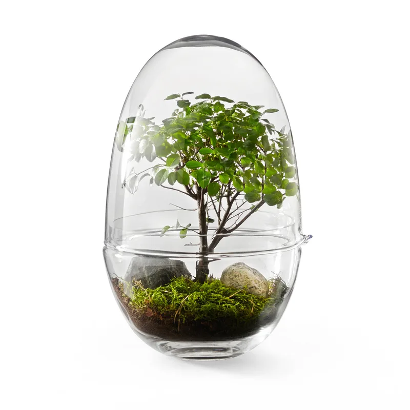 Grow van Design House Stockholm in Large 32 cm – productfoto
