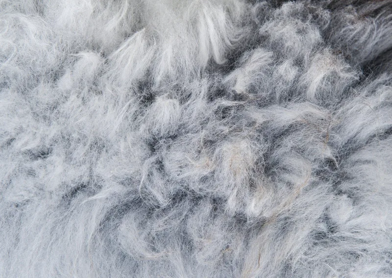 Sheepskin Overlay von Fjordfiesta in Grå/Sort, Medium – Ambientefoto