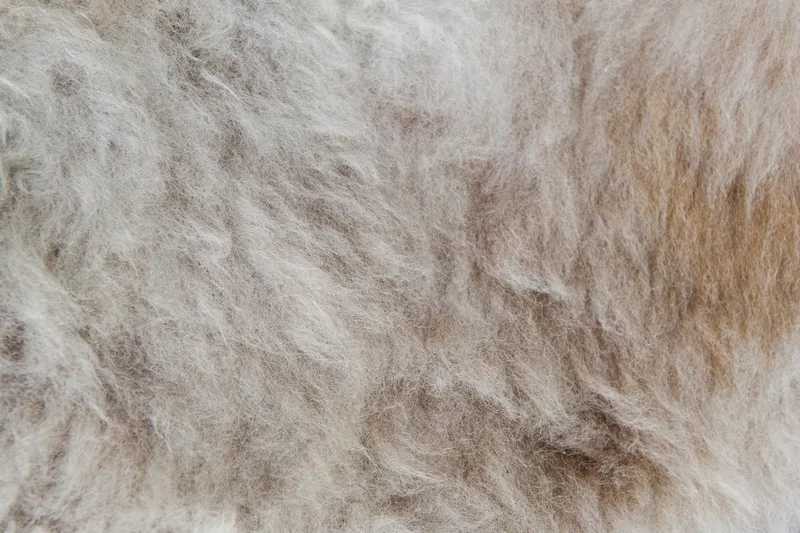 Sheepskin Overlay van Fjordfiesta in Beige, Large – sfeerfoto