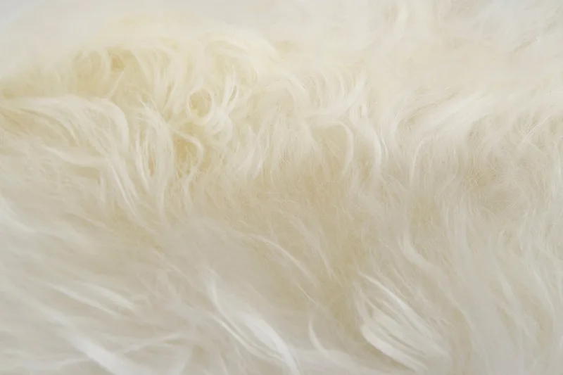 Sheepskin Overlay de Fjordfiesta en Naturlig hvit, Medium – photo du produit