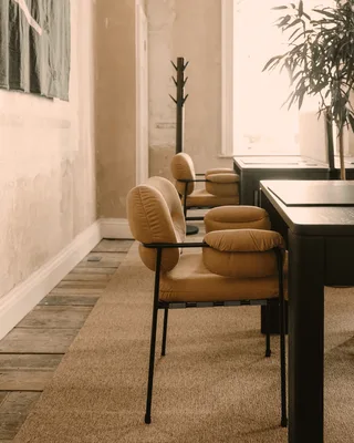 Bollo Dining Chair Bollo by Fogia in Barnum Sand 2/RAL1013, Oyster white (RAL 1013), Barnum Sand 2, Nevotex, Fabric – interior photo 39 of 53