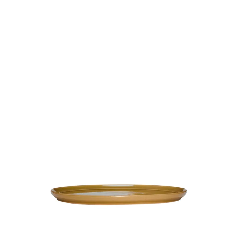 Amare Dinner Plate Brown by Hübsch – product photo 6 of 6