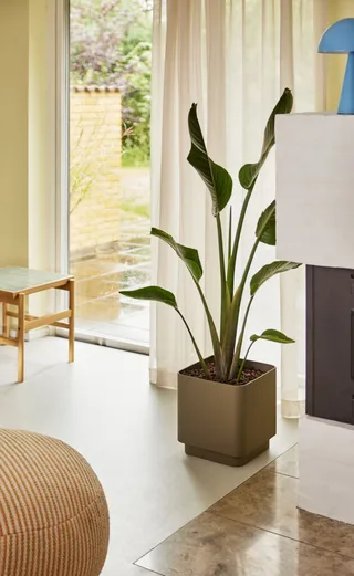 Cube Pots Brown (set of 2) by Hübsch – interior photo 1 of 3