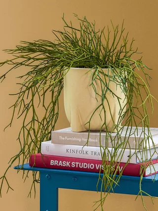 Up Pots Yellow (set of 2) de Hübsch – photo d’ambiance 4 sur 6