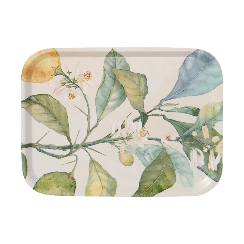 Citrus bricka by Klippan Yllefabrik in Multi – product photo