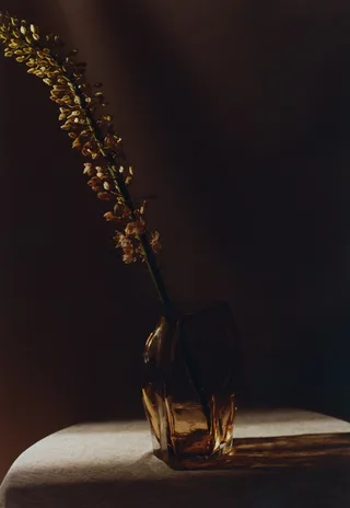 A STUDY 001 / Blæhr Vase Small de New Works – photo du produit 7 sur 8