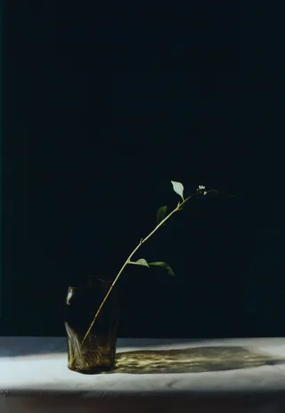A STUDY 001 / Blæhr Vase Small by New Works – interior photo 3 of 5