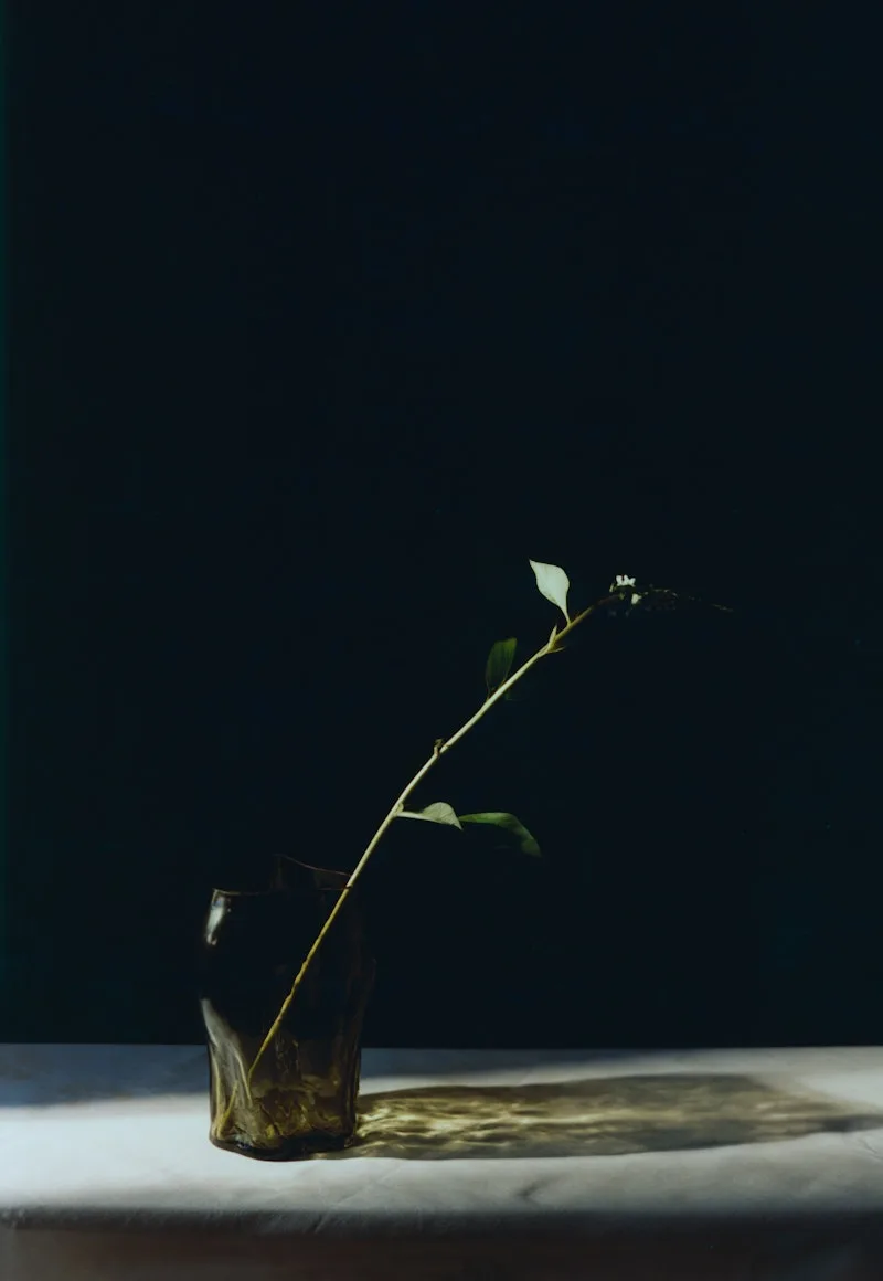 A STUDY 001 / Blæhr Vase Small by New Works – interior photo 3 of 5