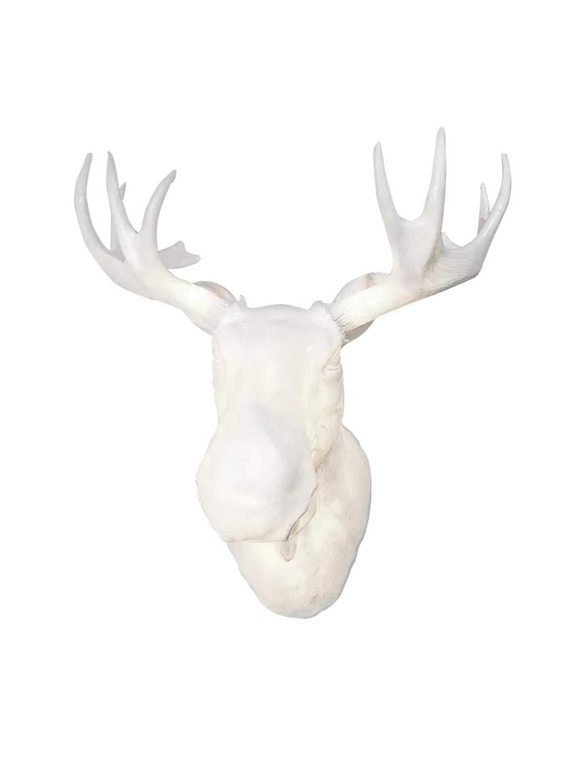 Moo vegglampe by Northern in White – product photo