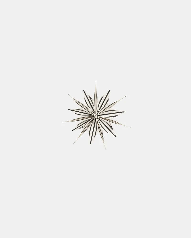 Toppu Christmas Star von OYOY Living Design – Produktfoto