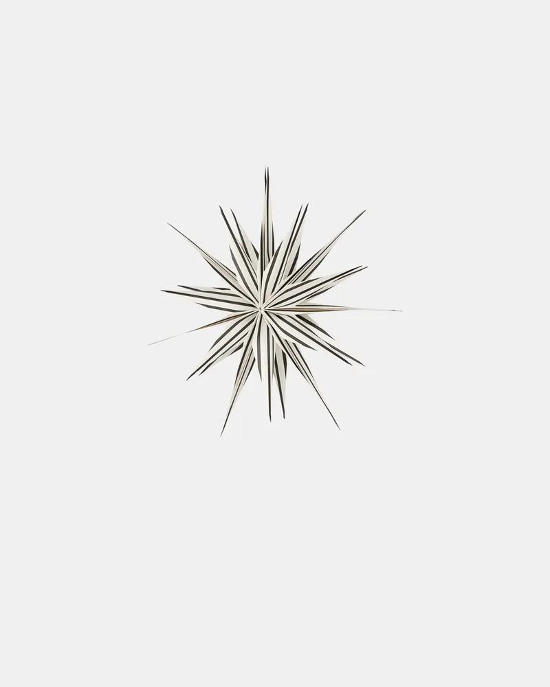 Toppu Christmas Star van OYOY Living Design – productfoto