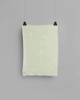 Orion van Røros Tweed in Light green – productfoto 1 van 3