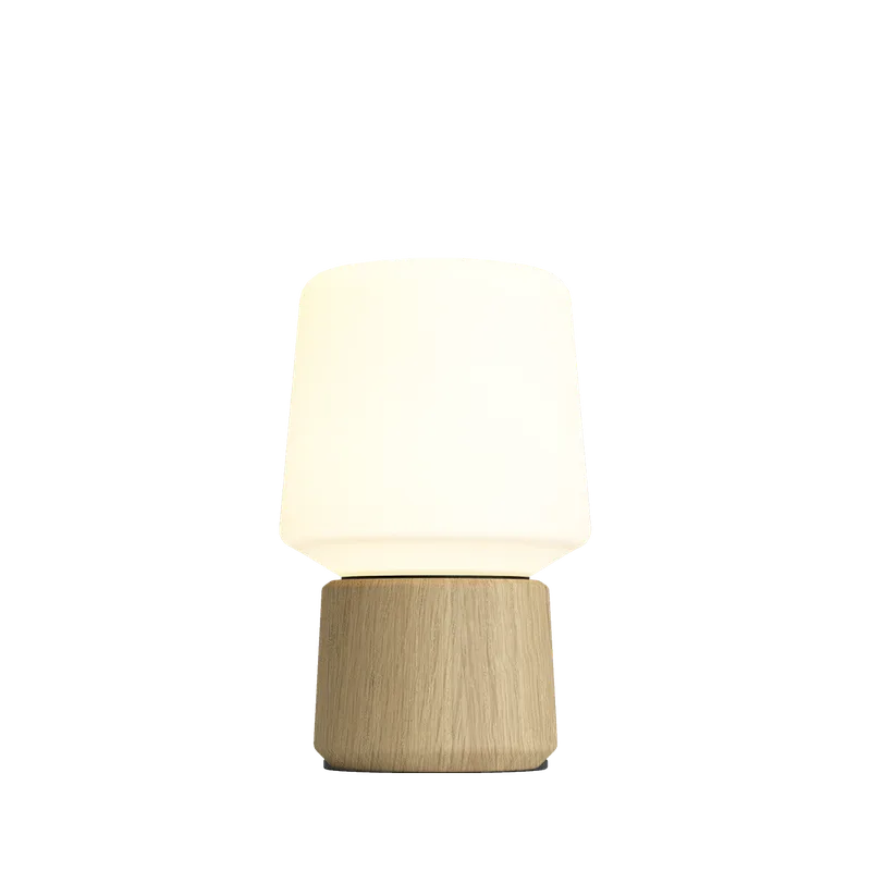 Ambience - Lamp Intelligent+ & Oslo base by SACKit in 5 – product photo