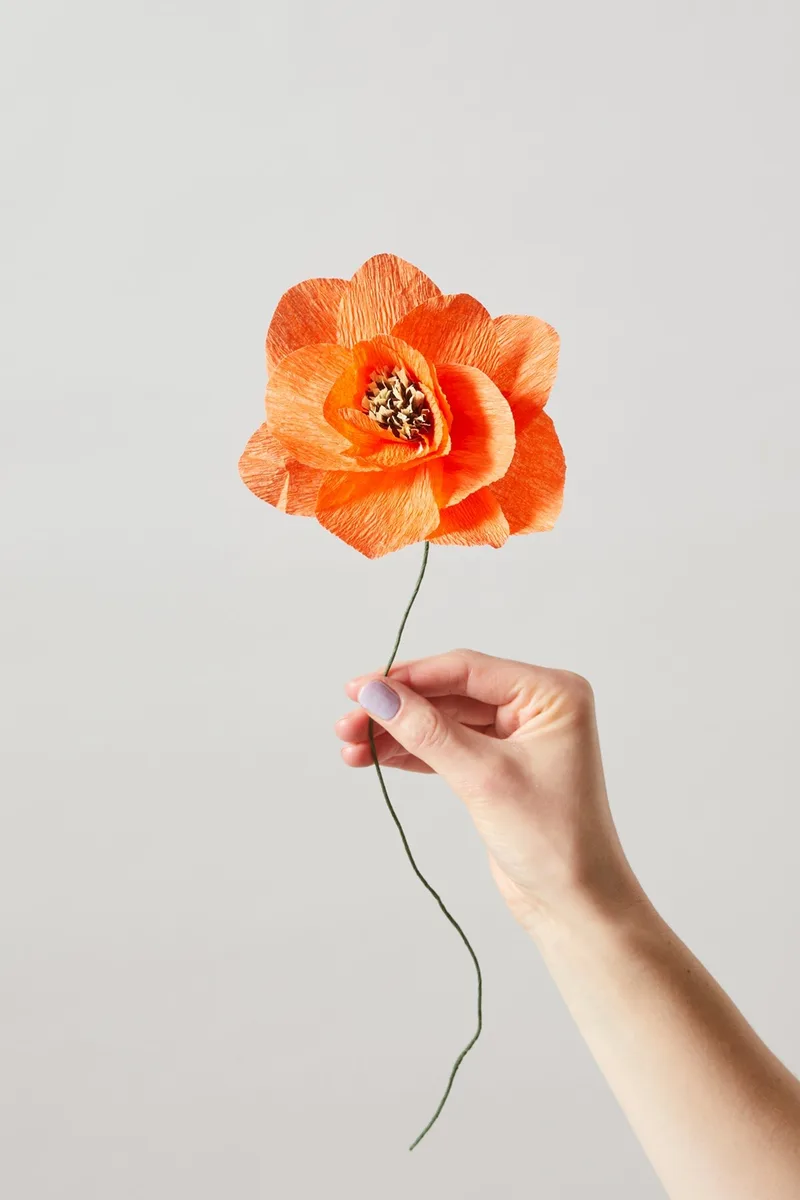 PAPER FLOWER, POPPY, RED by Studio About – product photo