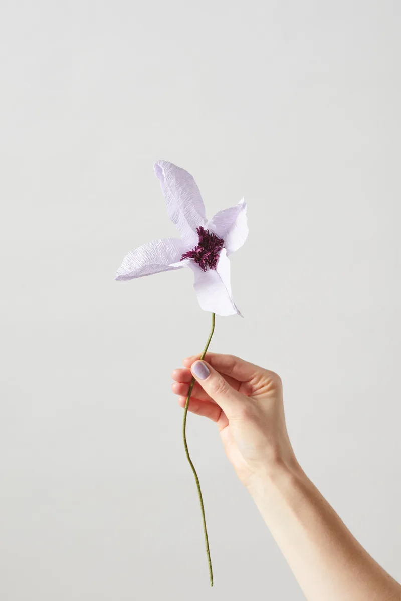 PAPER FLOWER, CLEMATIS, PURPLE by Studio About – product photo