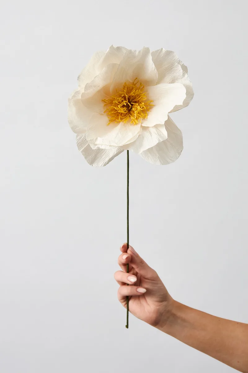 PAPER FLOWER, RHAPSODY ROSE, SAND von Studio About – Produktfoto