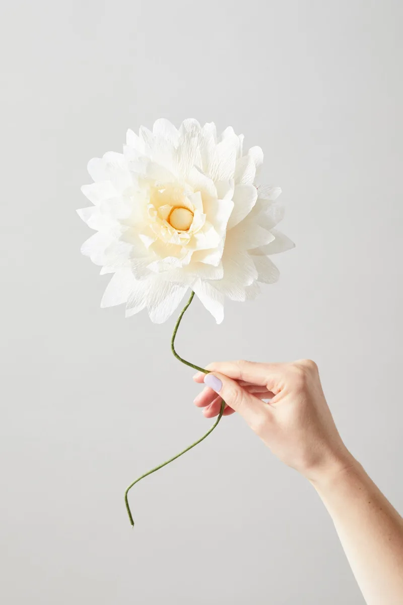 PAPER FLOWER, GRAND DAHLIA, SAND by Studio About – product photo