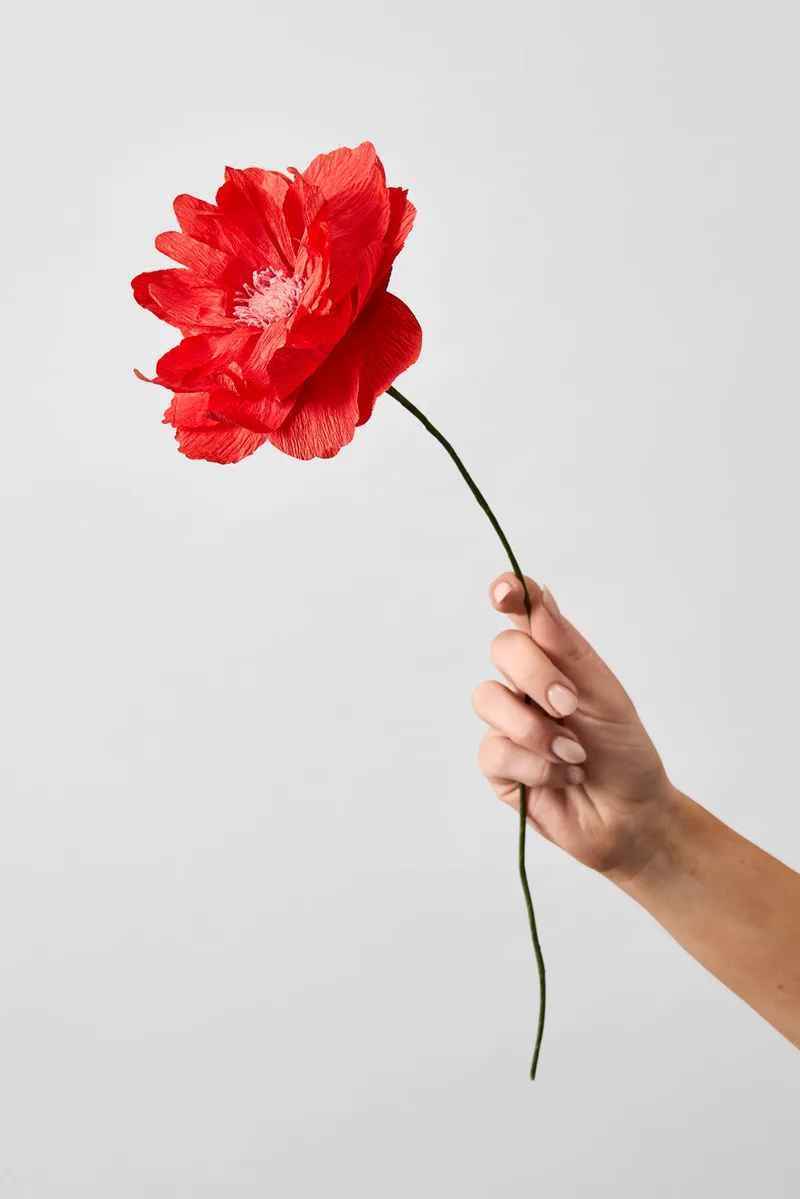 PAPER FLOWER, ORIENTAL POPPY, RED van Studio About – productfoto