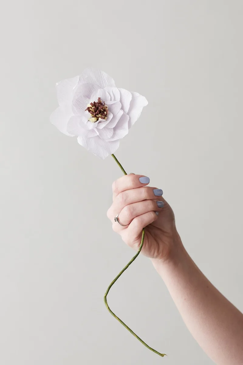 PAPER FLOWER, POPPY, PURPLE von Studio About – Produktfoto