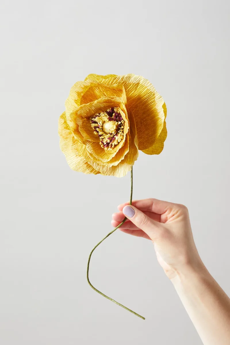 PAPER FLOWER, ICE POPPY, OCHRE von Studio About – Produktfoto