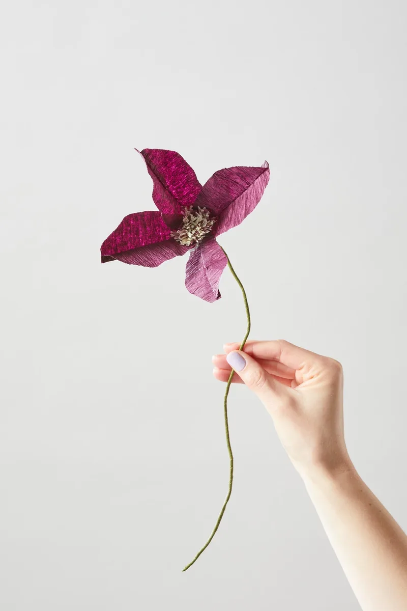 PAPER FLOWER, CLEMATIS, AUBERGINE van Studio About – productfoto