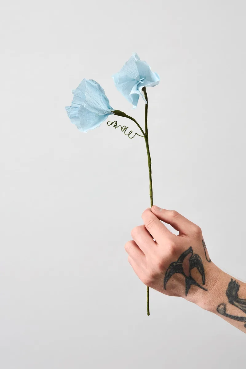 PAPER FLOWER, MORNING GLORY, BLUE de Studio About – photo du produit
