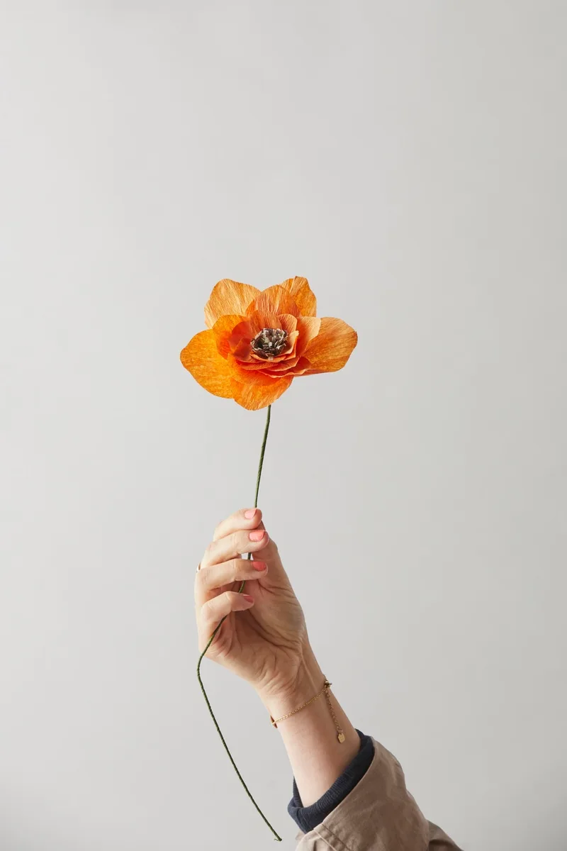 PAPER FLOWER, POPPY, ORANGE by Studio About – interior photo