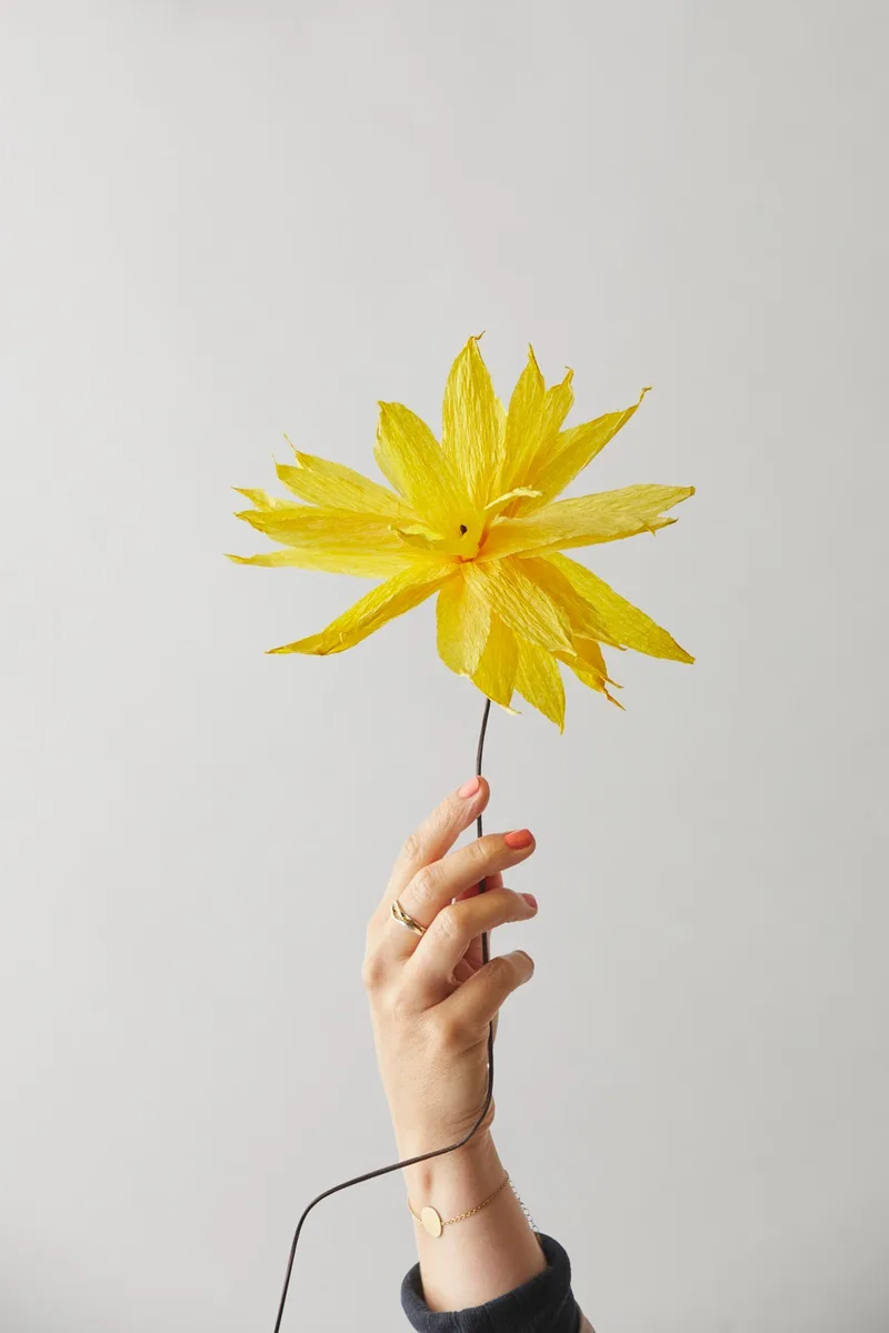 PAPER FLOWER, SHOOTING STAR, YELLOW by Studio About – interior photo