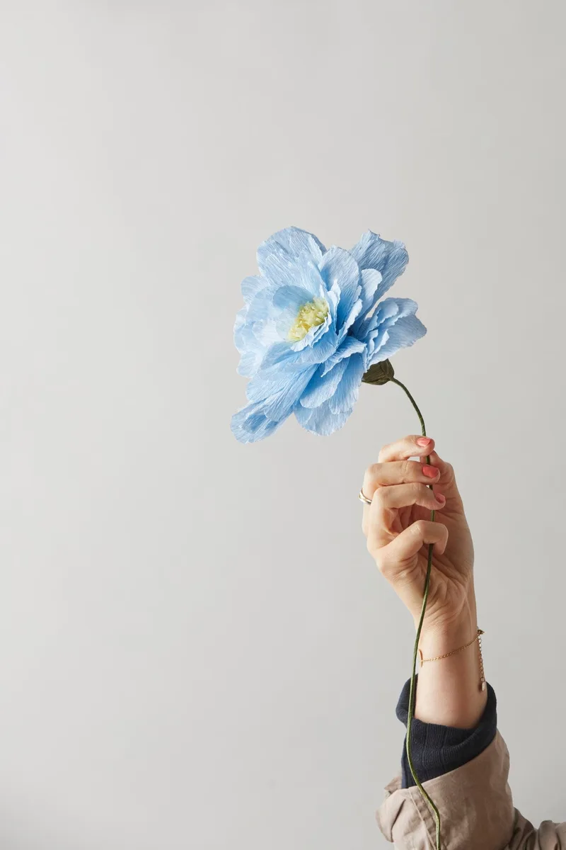 PAPER FLOWER, GRAND PEONY, BLUE de Studio About – photo du produit