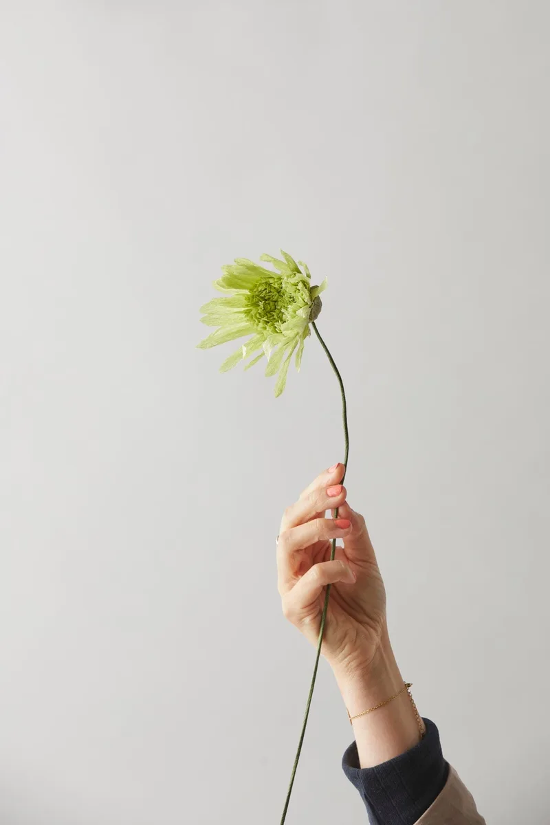 PAPER FLOWER, CHERRY FLUFF, GREEN by Studio About – product photo