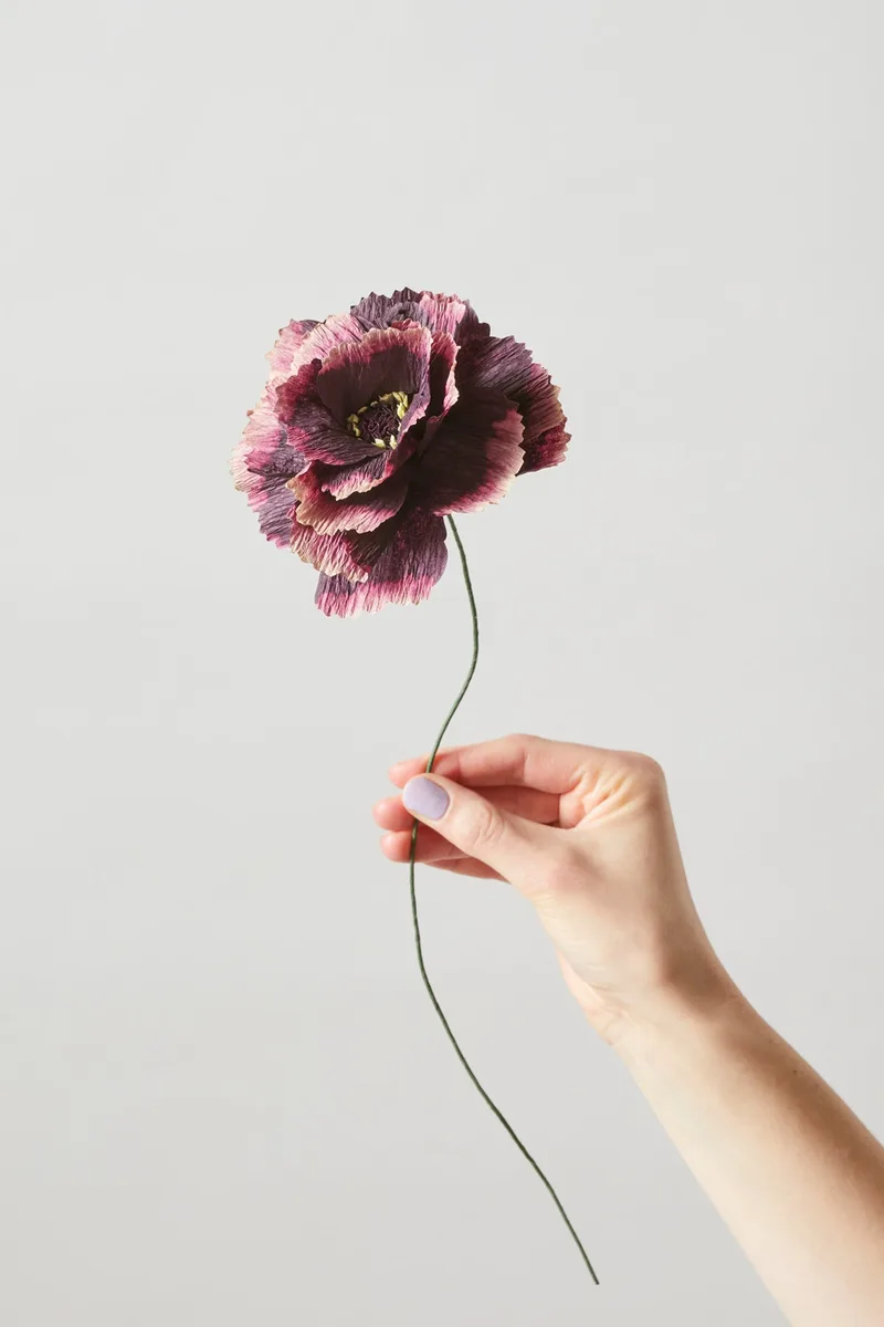 PAPER FLOWER, PEONY, AUBERGINE van Studio About – productfoto