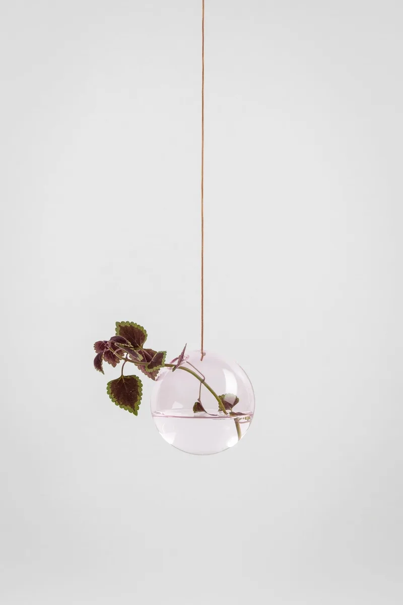 HANGING FLOWER BUBBLE, MEDIUM, ROSE von Studio About – Produktfoto