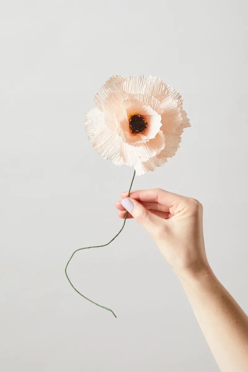 PAPER FLOWER, PEONY, NUDE van Studio About – productfoto