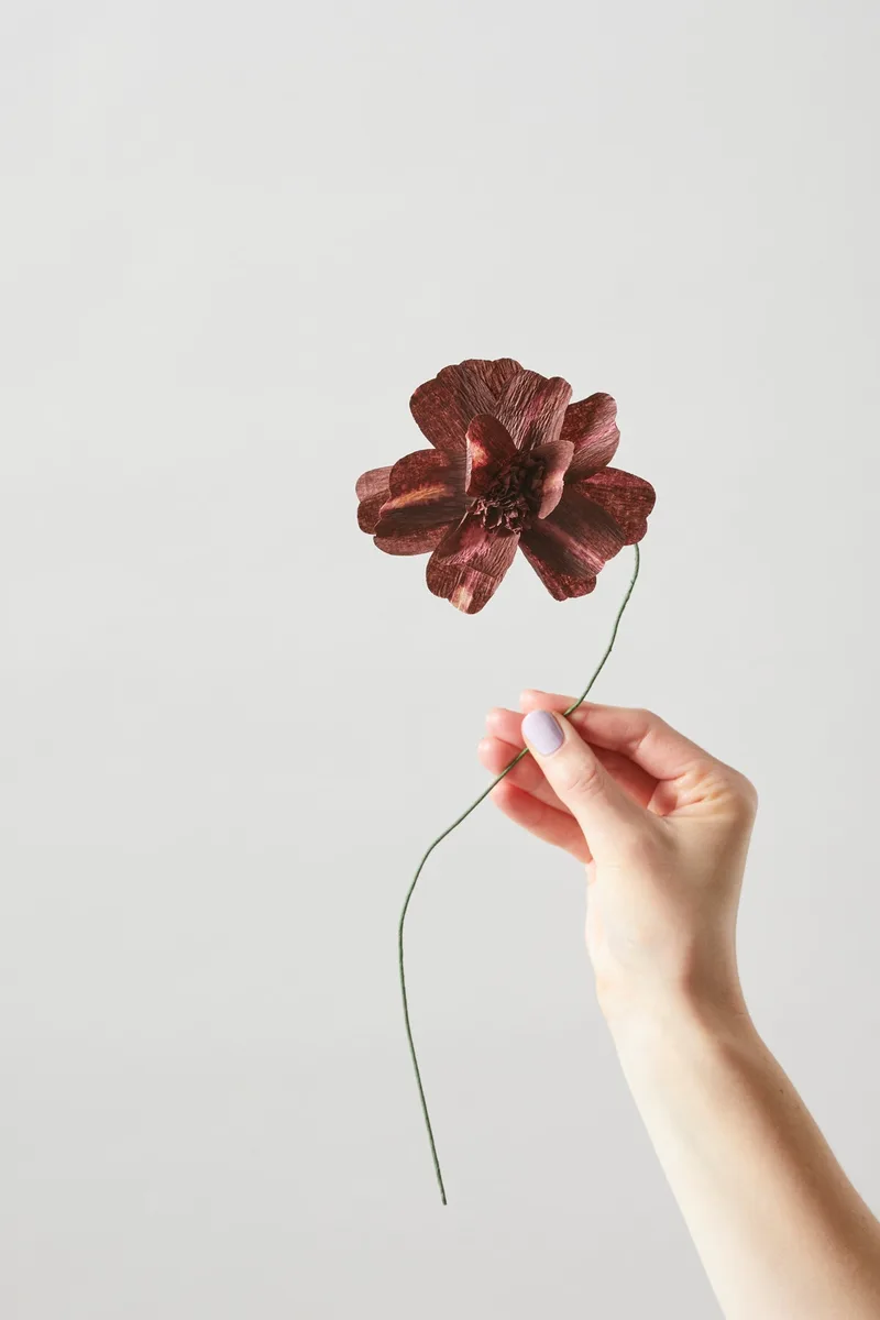 PAPER FLOWER, DAISY, BORDEAUX von Studio About – Produktfoto