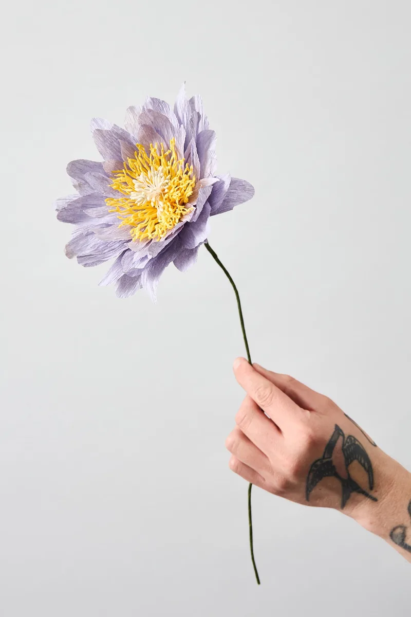 PAPER FLOWER, COTTAGE ROSE, PURPLE by Studio About – product photo
