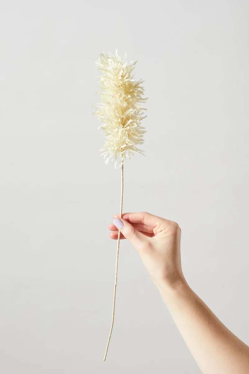 PAPER FLOWER, PAMPAS, SAND by Studio About – product photo