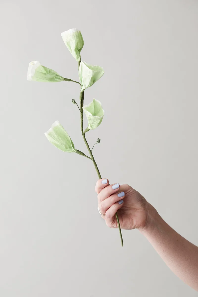 PAPER FLOWER, TINKERBELL, GREEN by Studio About – product photo
