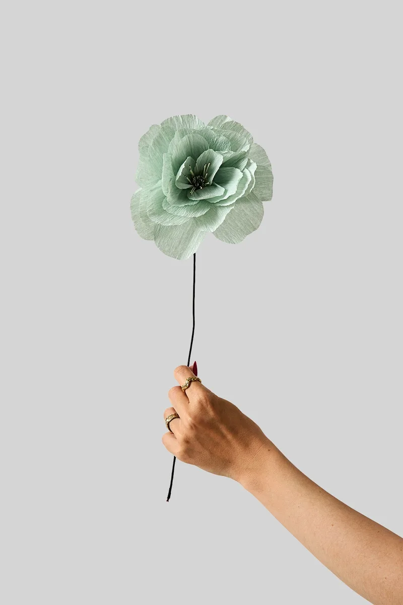 PAPER FLOWER, ROSA LA PALOMA GRANDE, MINT by Studio About – product photo