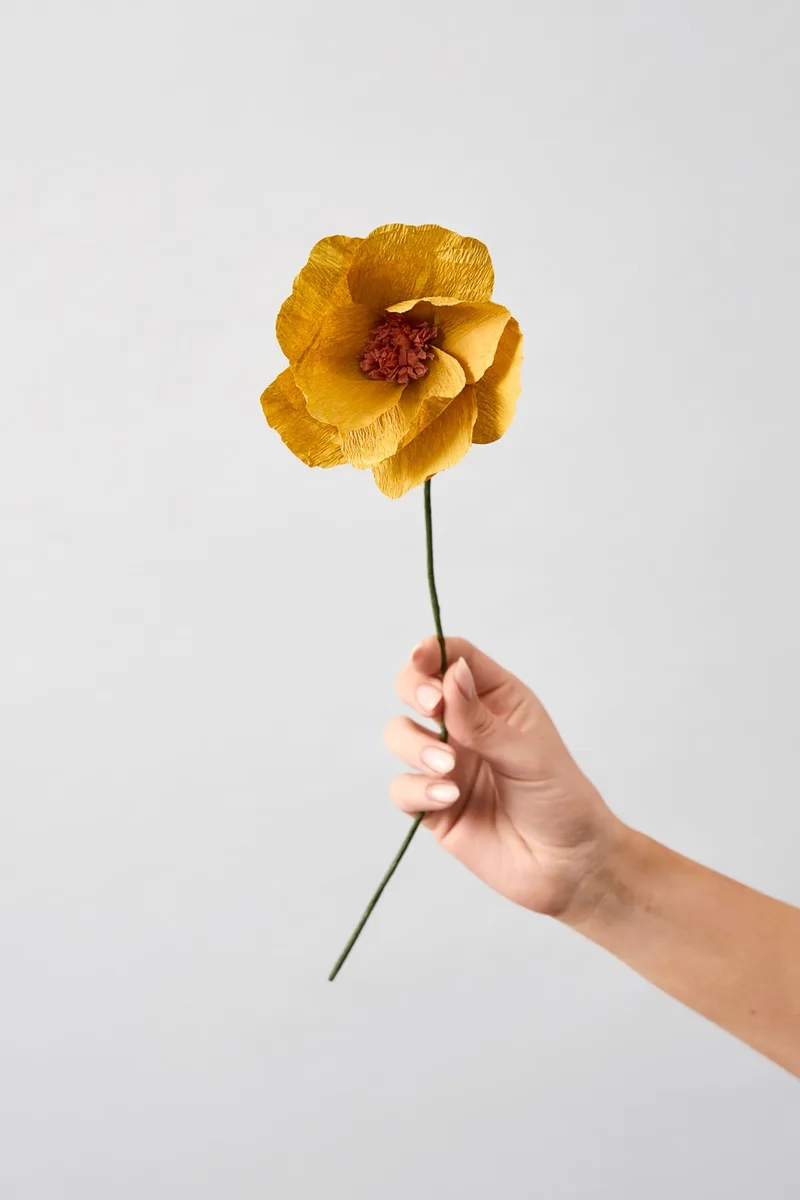 PAPER FLOWER, WINDFLOWER, OCHRE by Studio About – product photo