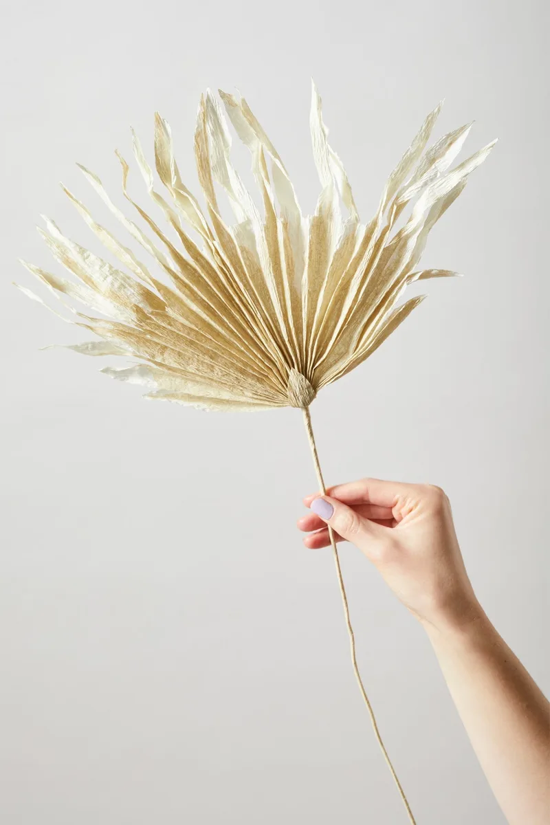 PAPER FLOWER, PALM, SAND by Studio About – interior photo