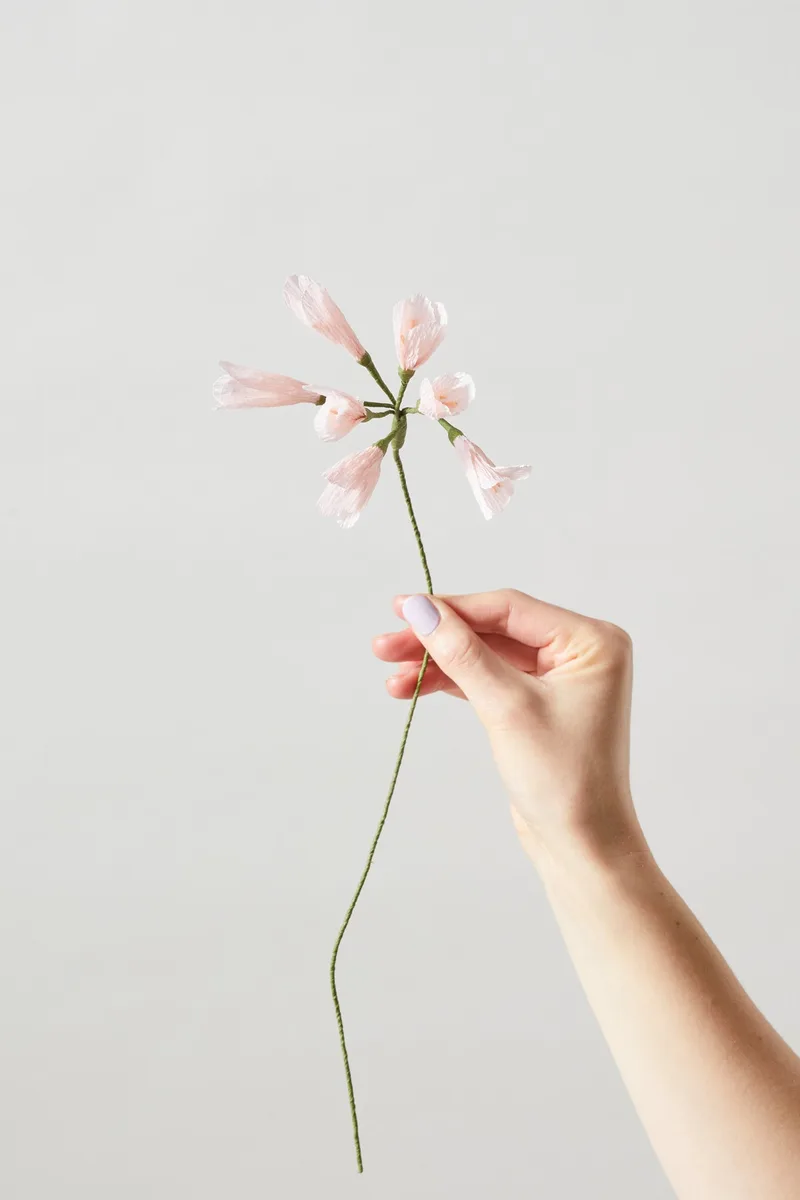 PAPER FLOWER, AFRICAN LILY, ROSE de Studio About – photo du produit