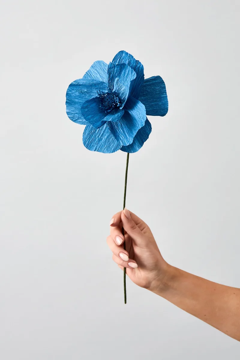 PAPER FLOWER, HIMALAYAN POPPY, BLUE by Studio About – product photo