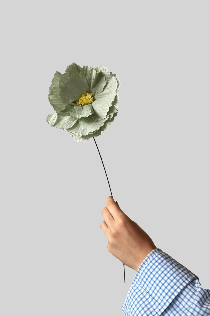PAPER FLOWER, PEONY, MINT by Studio About – product photo