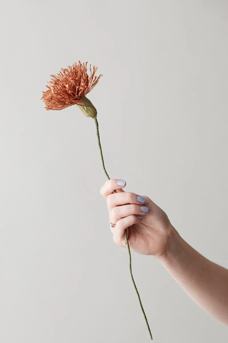 PAPER FLOWER, CHRYSANTHEMUM, DARK OCHRE by Studio About – product photo