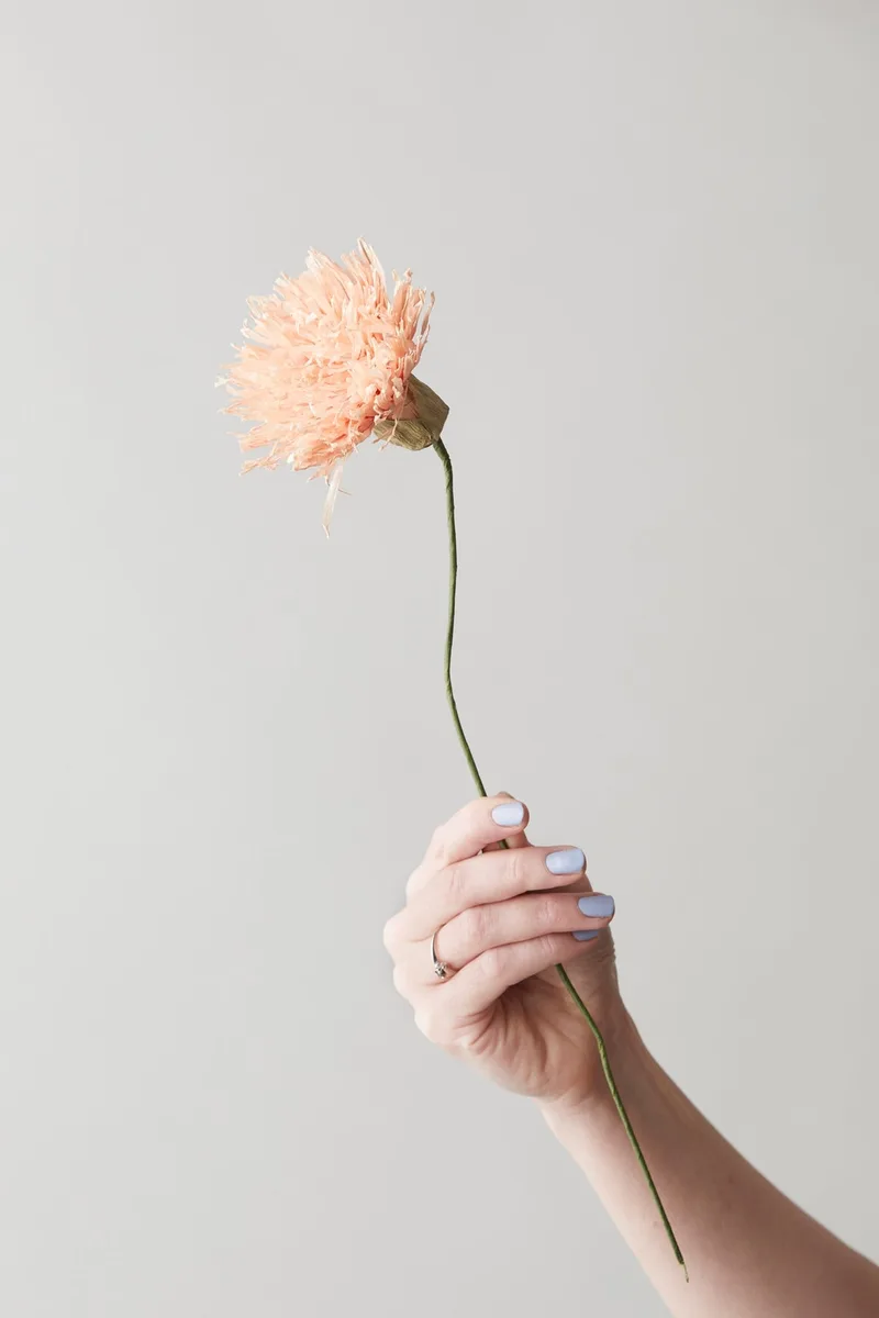 PAPER FLOWER, CHRYSANTHEMUM, NUDE van Studio About – productfoto