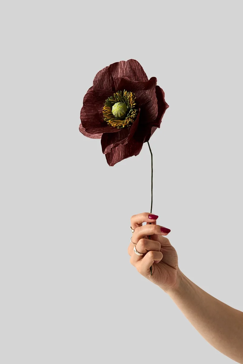 PAPER FLOWER, PAPAVER, BROWN van Studio About – productfoto